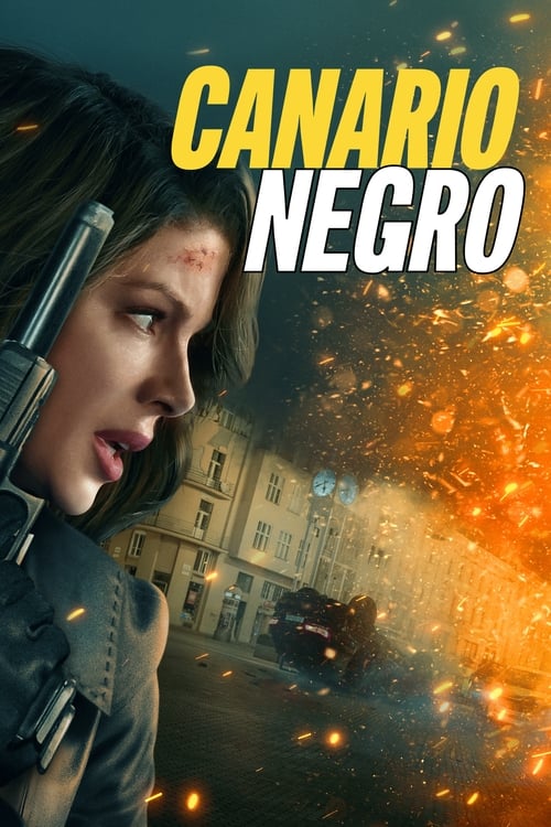 Póster de Canario Negro