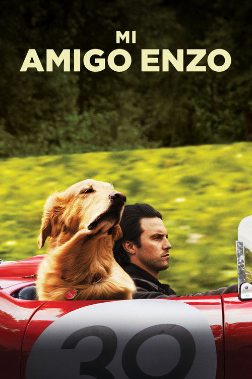 Póster de Mi Amigo Enzo