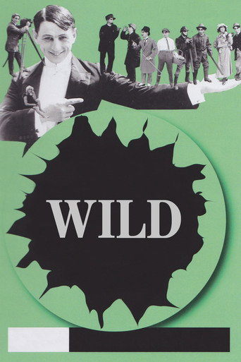 Póster de Wild