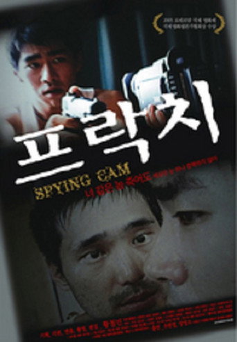 Póster de Spying Cam