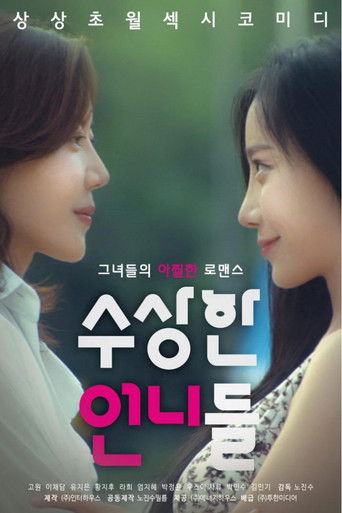 Póster de 수상한 언니들