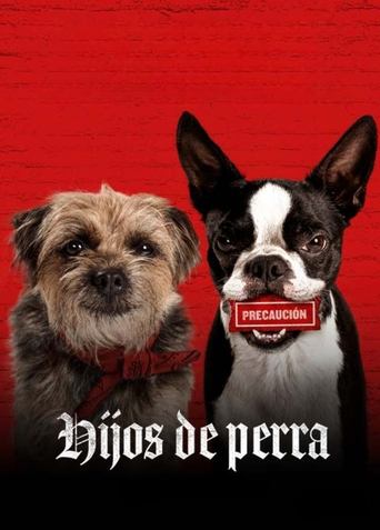 Póster de Hijos de perra