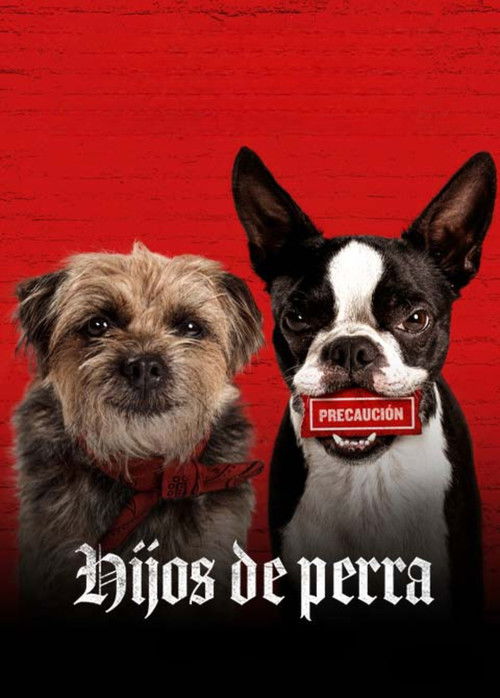 Póster de Hijos de perra