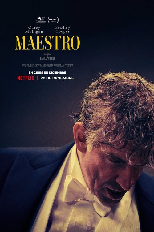 Póster de Maestro