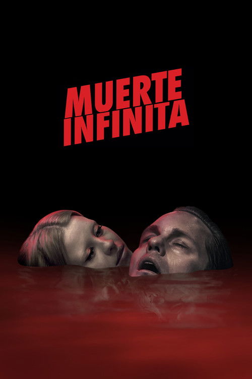 Póster de Muerte Infinita