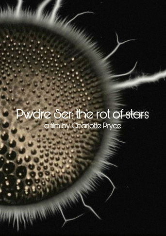 Póster de Pwdre Ser: the rot of stars