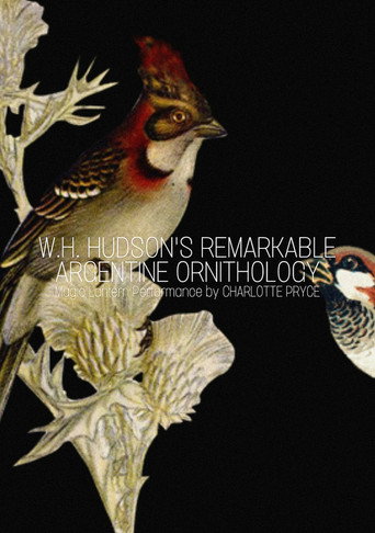 Póster de W.H. Hudson’s Remarkable Argentine Ornithology