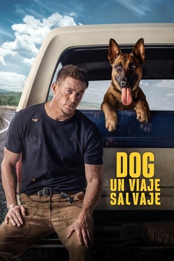 Póster de Dog: Un viaje salvaje