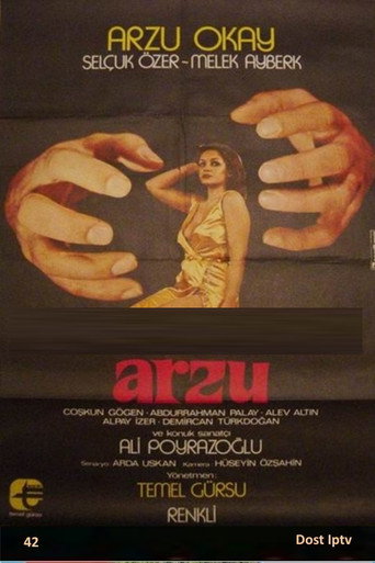 Póster de Arzu