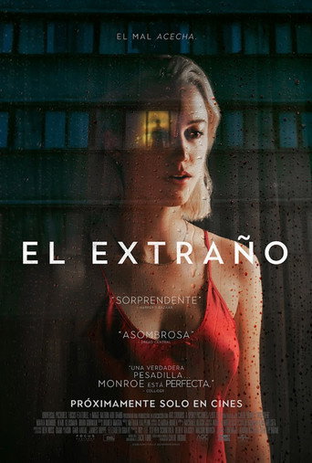 Póster de Observada tras la ventana