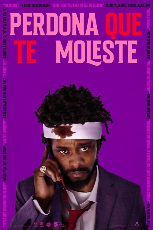 Póster de Perdón por molestarte