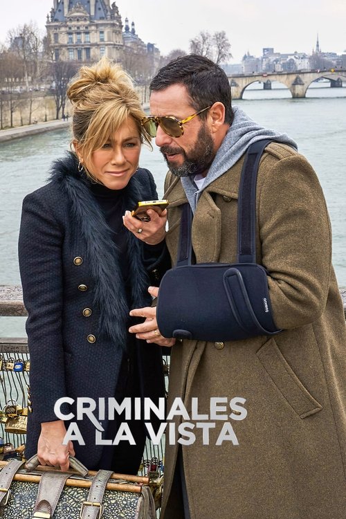 Póster de Misterio a la vista