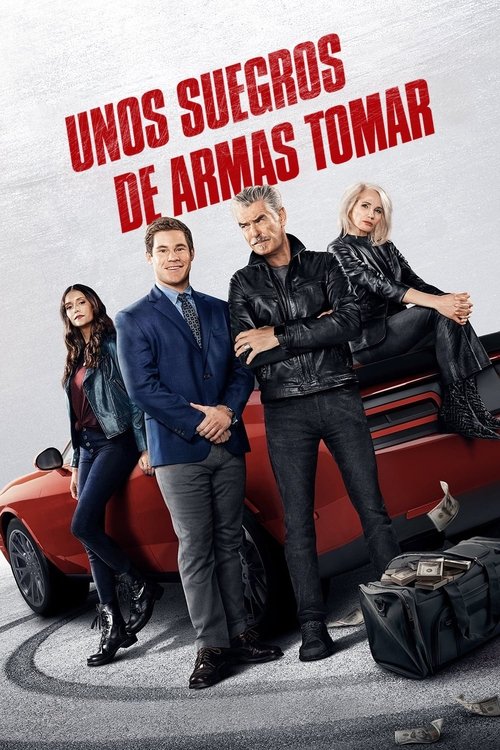 Póster de Unos suegros de armas tomar