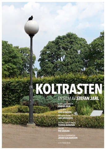 Póster de Koltrasten