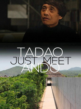 Póster de Just Meet