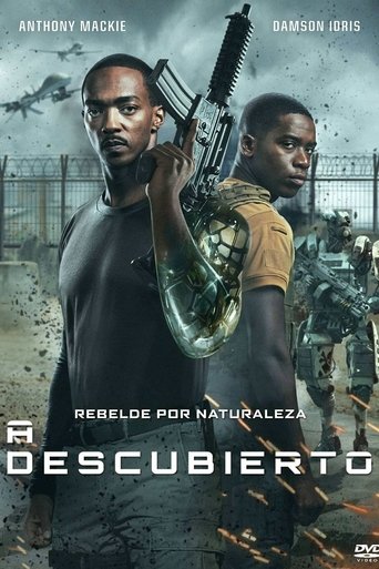 Póster de Zona de riesgo