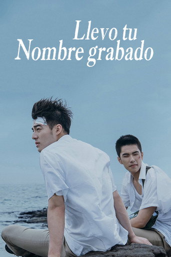 Póster de Llevo tu nombre grabado