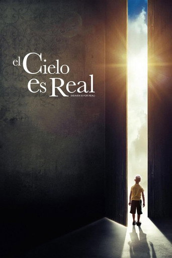 Póster de El cielo sí existe