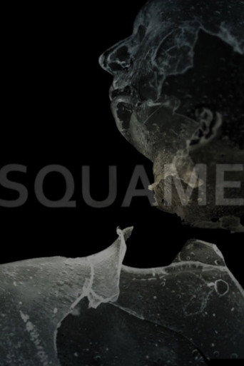Póster de Squame