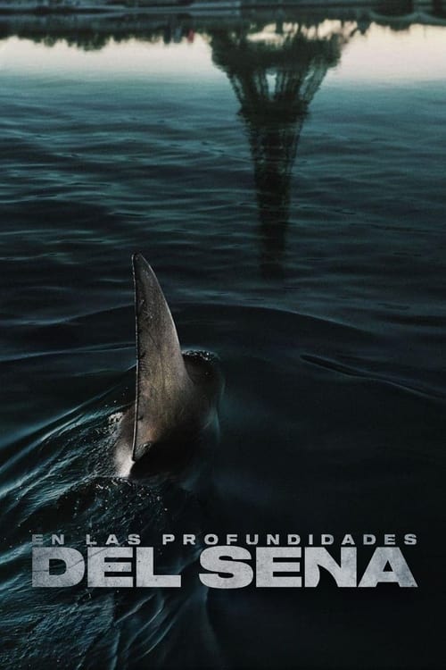 Póster de En las profundidades del Sena