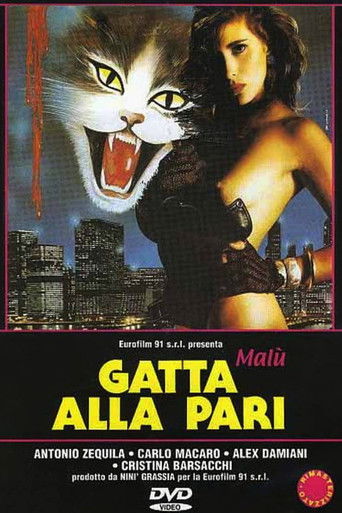 Póster de Gatta alla pari