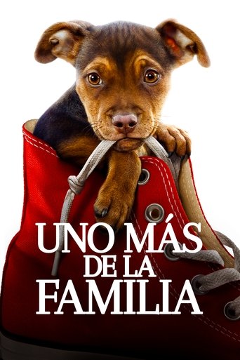 Póster de Mis Huellas a Casa
