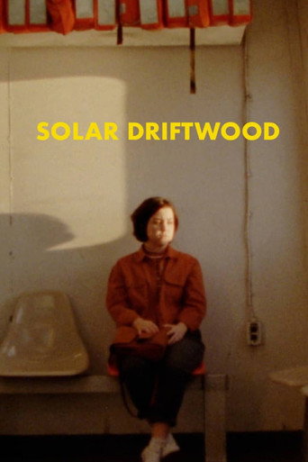 Póster de Solar Driftwood