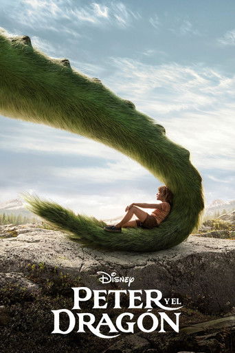 Póster de Mi amigo el dragón