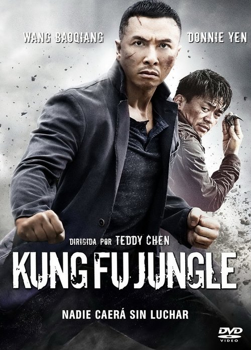 Póster de Asesino Kung Fu