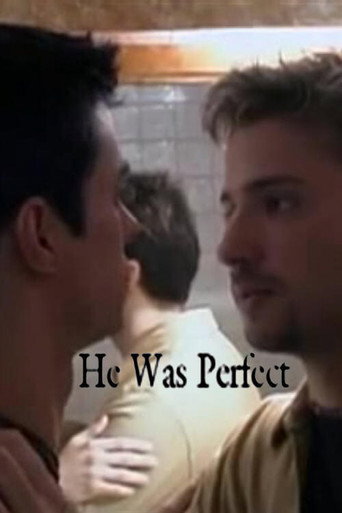 Póster de He Was Perfect