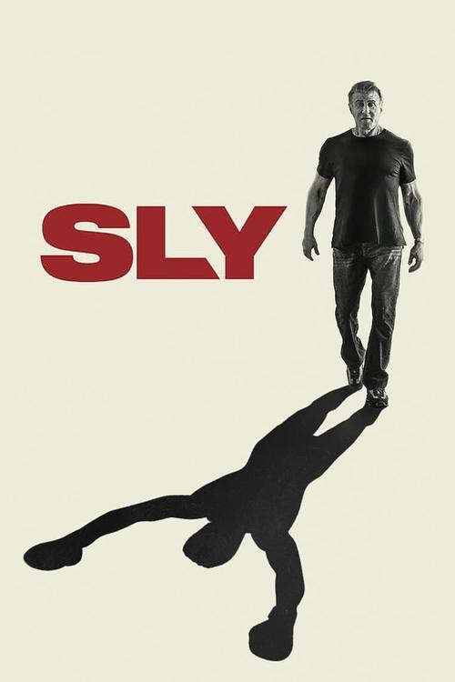Póster de Sly