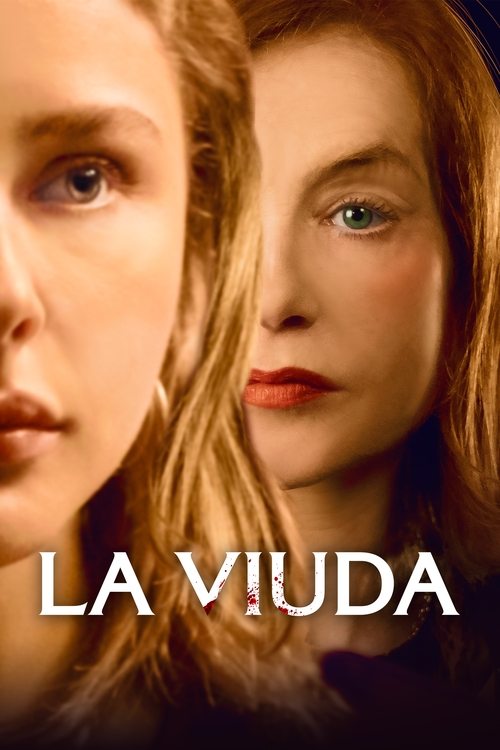 Póster de La viuda