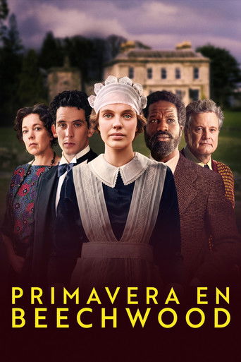 Póster de Amores Prohibidos
