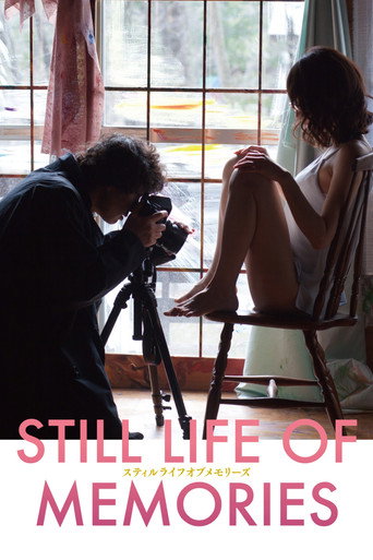 Póster de Still Life of Memories