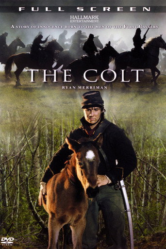 Póster de The Colt