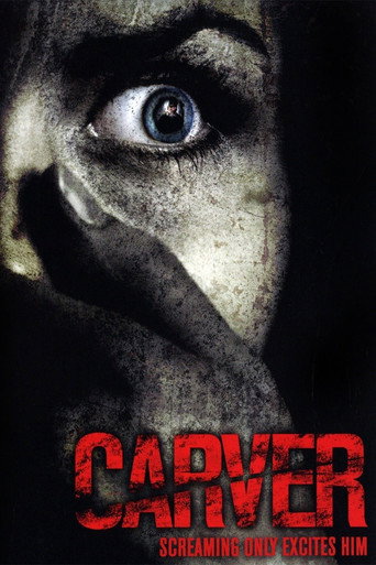 Póster de Carver