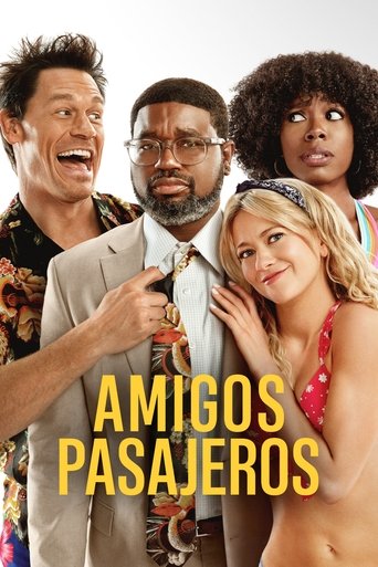 Póster de Amigos de las vacaciones