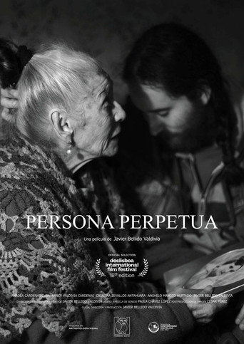 Póster de Persona Perpetua