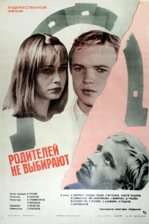 Póster de Родителей не выбирают