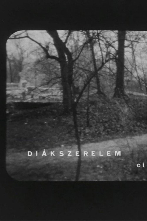 Póster de Diákszerelem