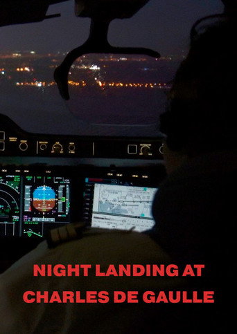 Póster de Night Landing At Charles De Gaulle