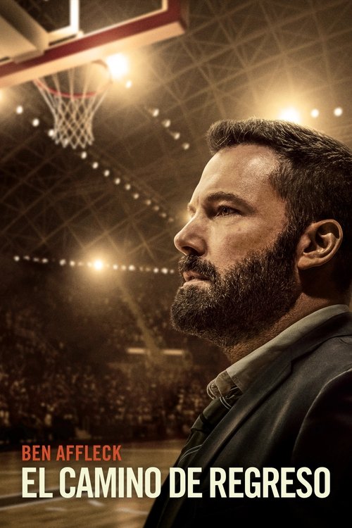 Póster de El camino de regreso