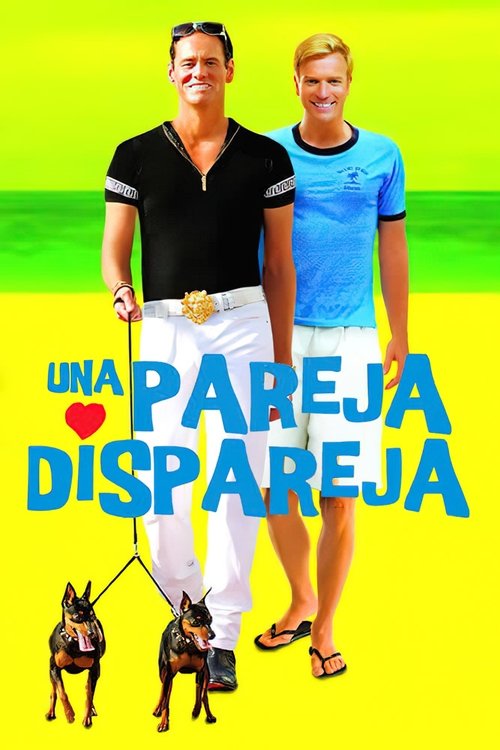 Póster de Una pareja dispareja