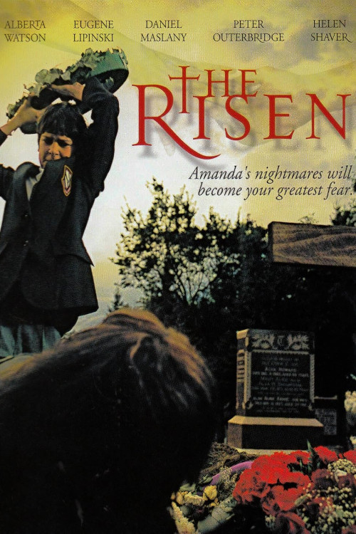 Póster de The Risen