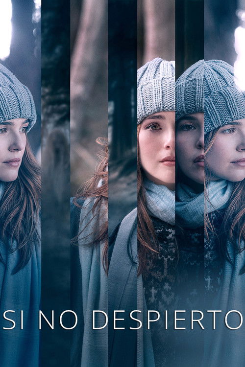 Póster de Si no despierto