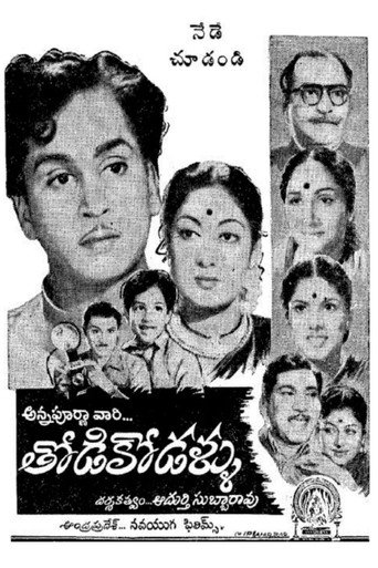 Póster de తోడికోడళ్ళు