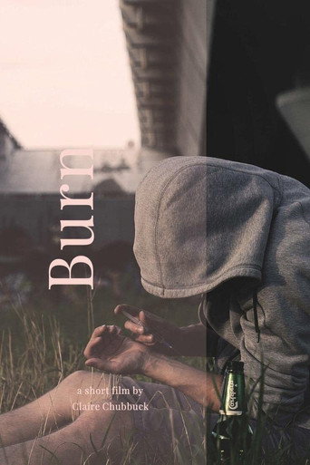 Póster de Burn