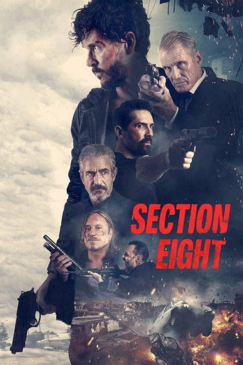 Póster de Sesión 8