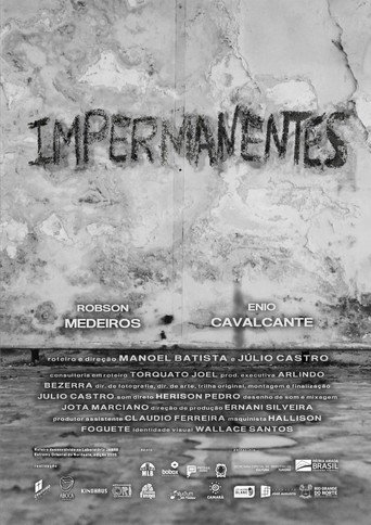 Póster de Impermanentes