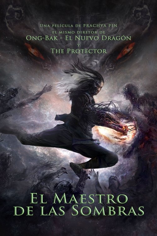 Póster de El maestro de las sombras